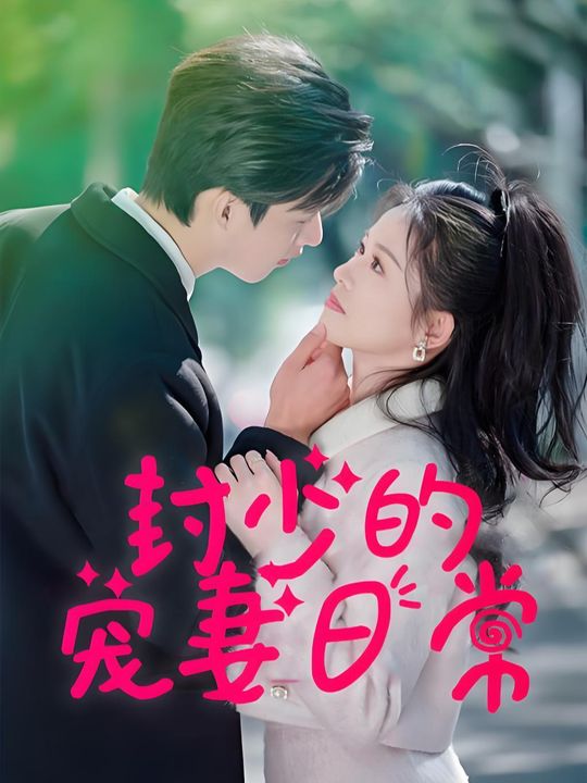 封少的宠妻日常封面