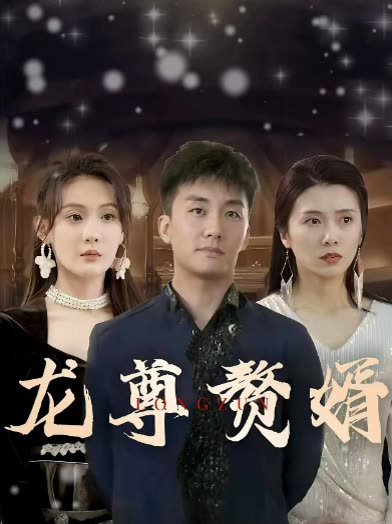 龙尊赘婿封面
