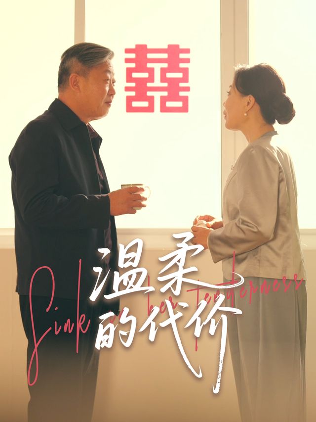 温柔的代价封面