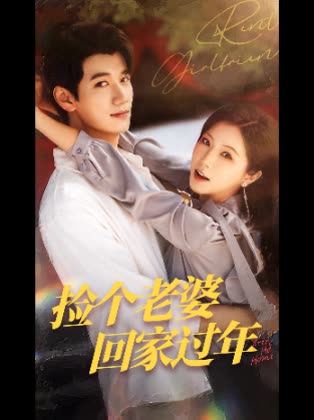 捡个老婆回家过年封面