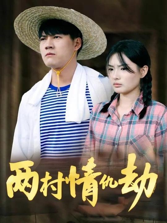 两村情仇劫封面