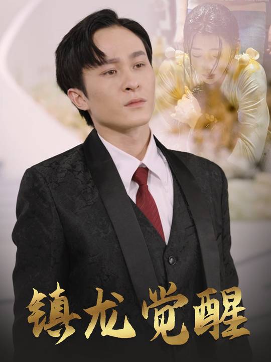 镇龙觉醒封面