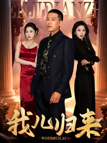 我儿归来封面