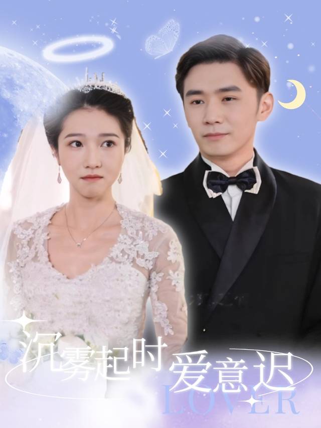 沉雾起时爱意迟封面
