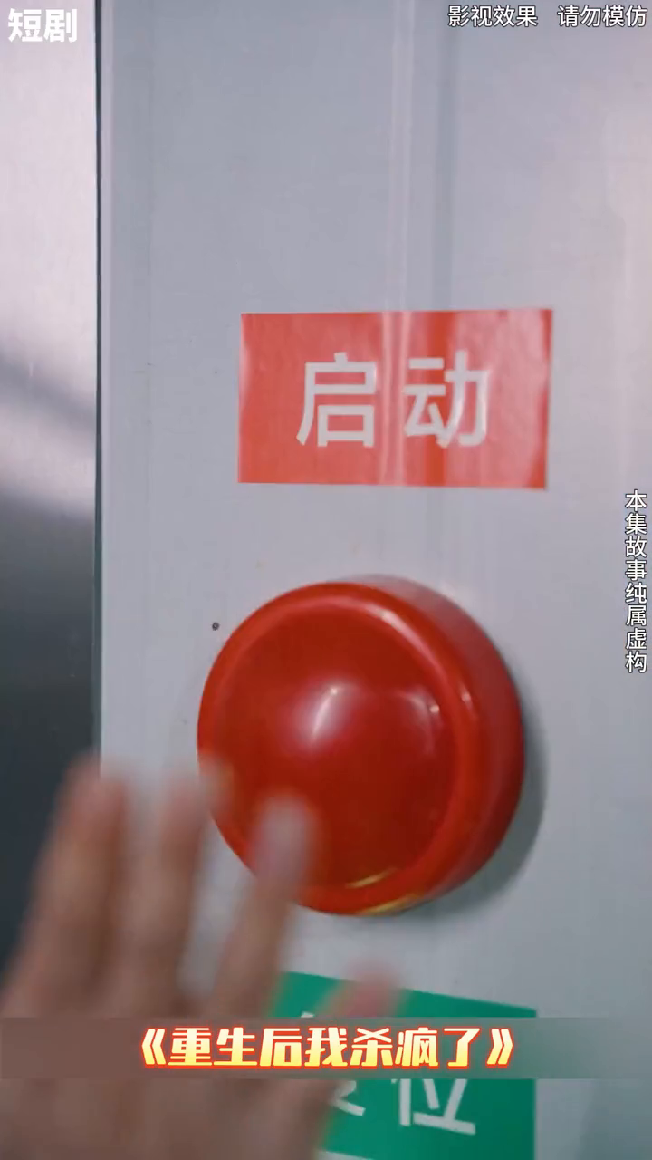 重生后我杀疯了封面