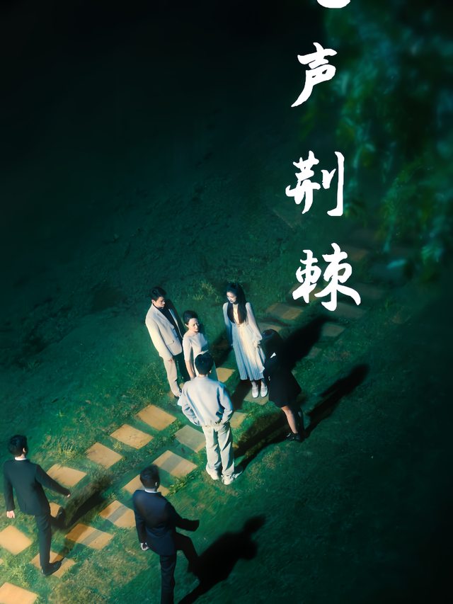 无声荆棘封面