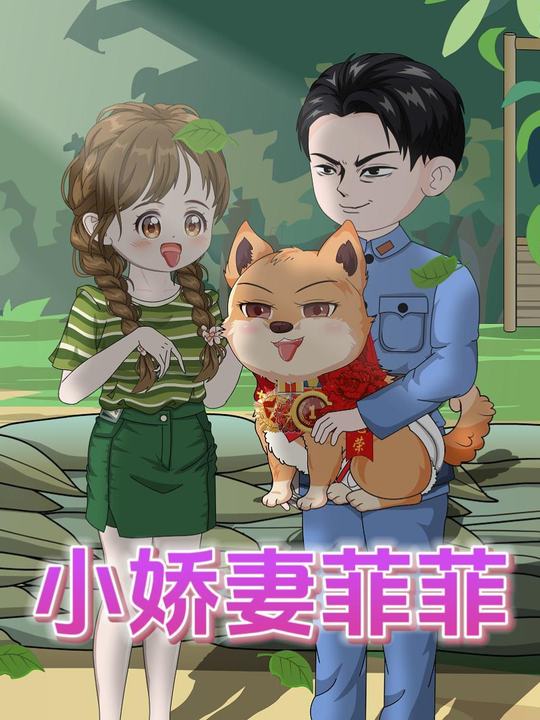 小娇妻菲菲封面