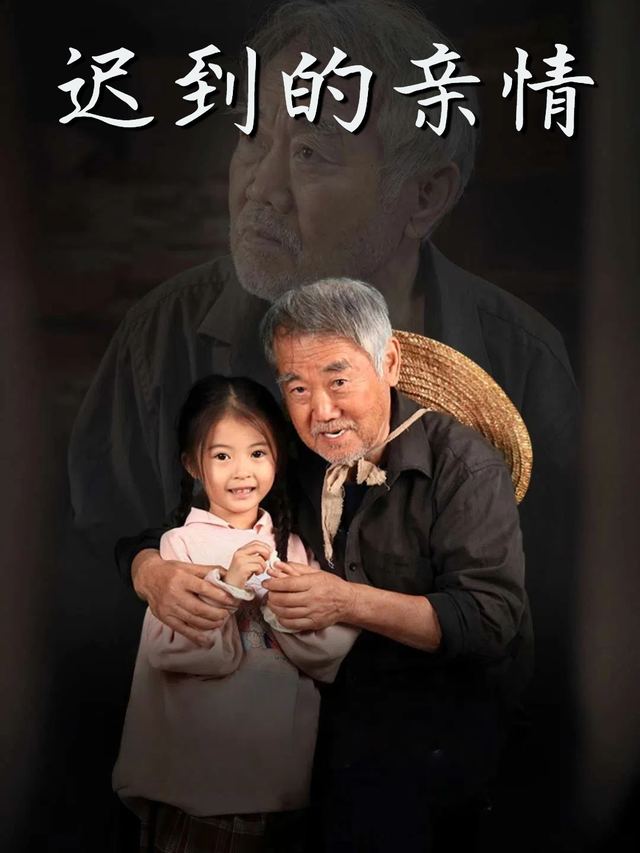 迟到的亲情封面