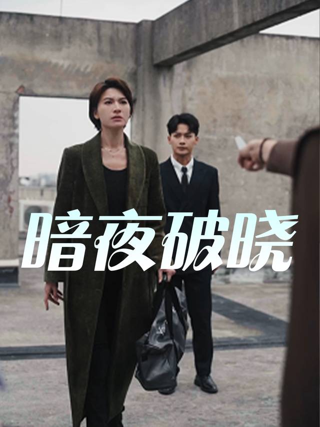 暗夜破晓封面