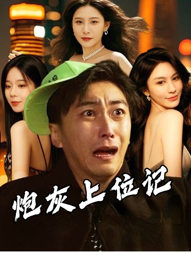 炮灰上位记封面