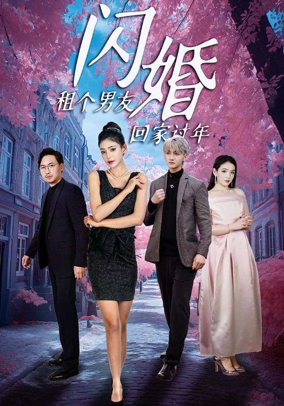 闪婚租个男友回家过年封面