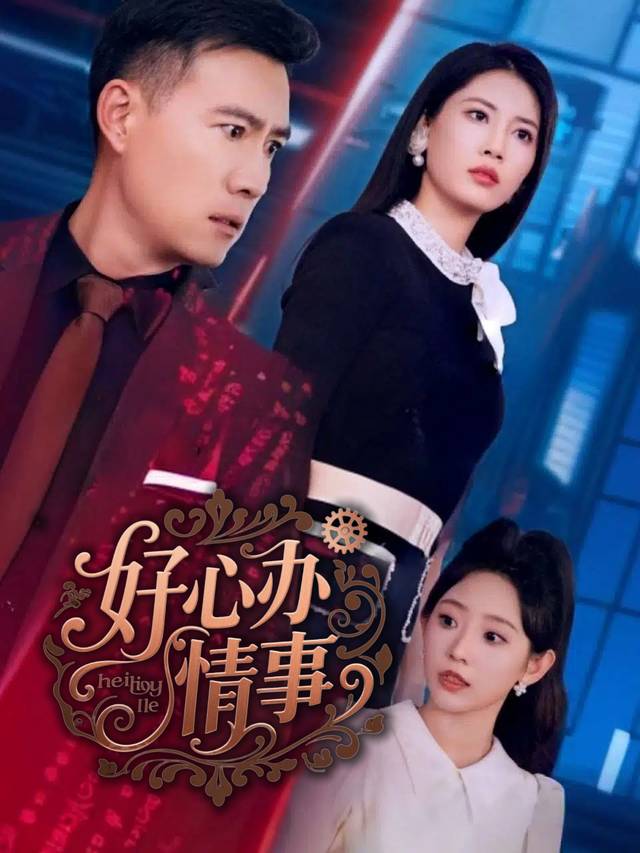 好心办情事封面