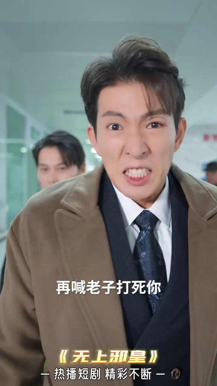 无上邪皇封面