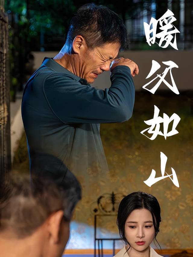 暖父如山封面