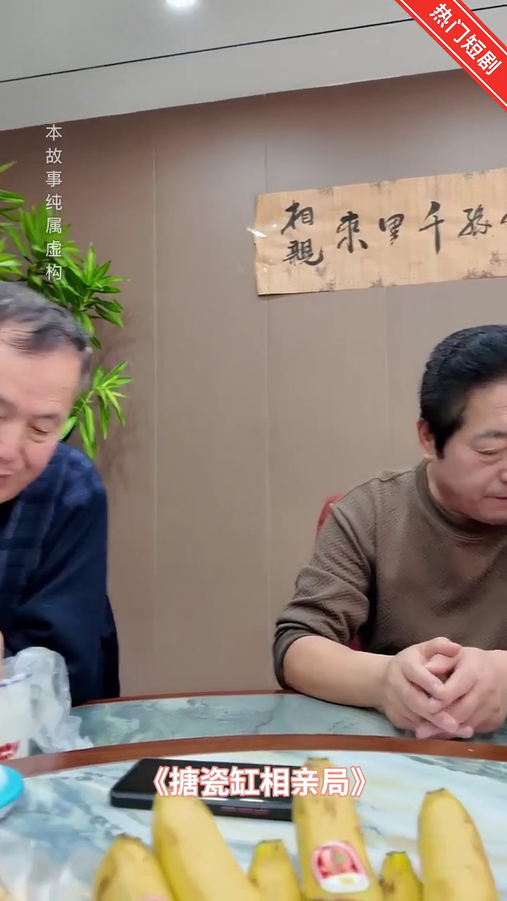 搪瓷缸相亲局封面