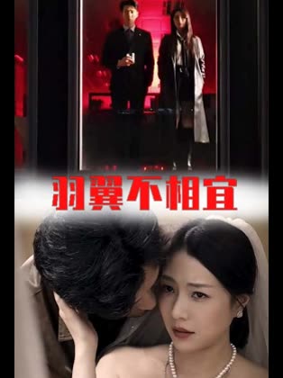 羽翼不相宜封面