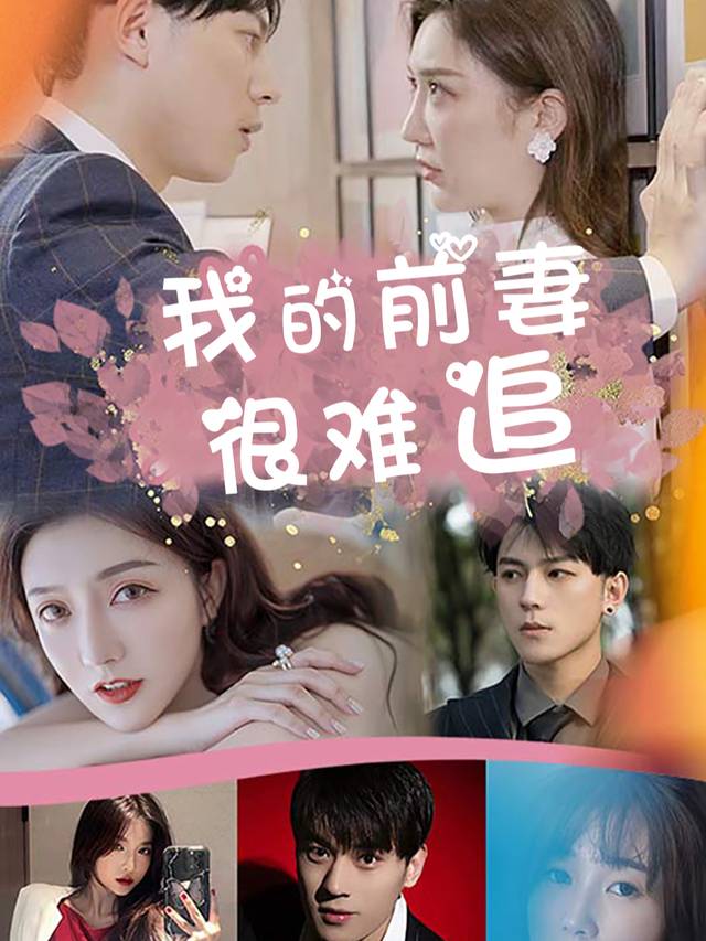 我的前妻很难追封面