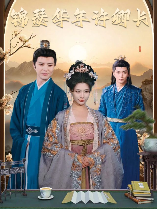 锦瑟华年许卿长封面