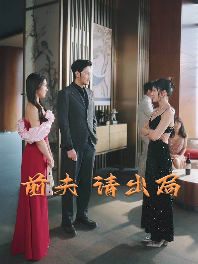 前夫,请出局封面