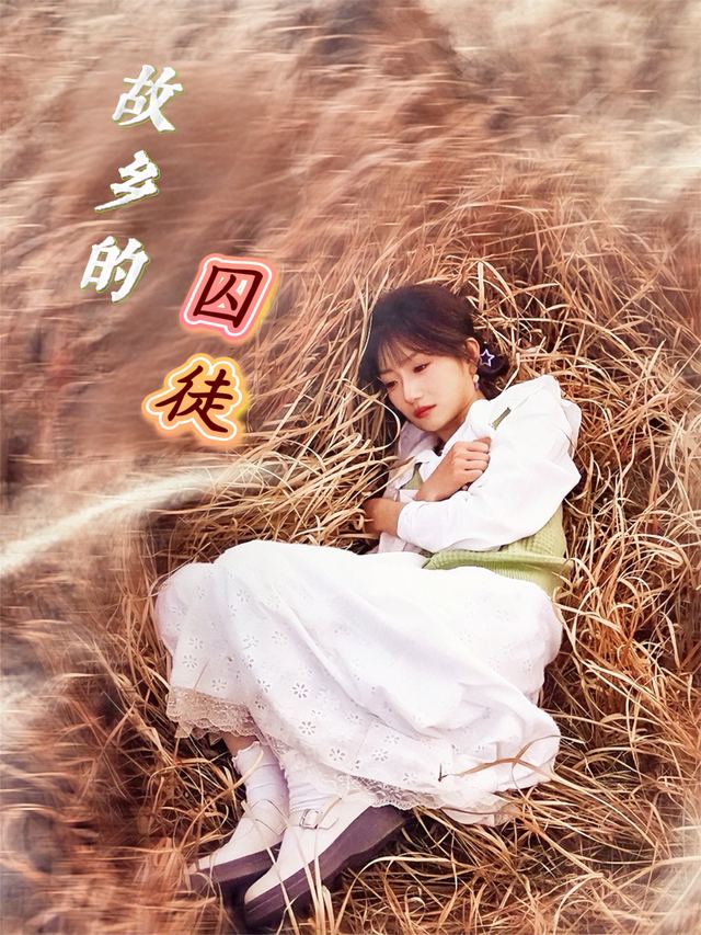 故乡的囚徒封面