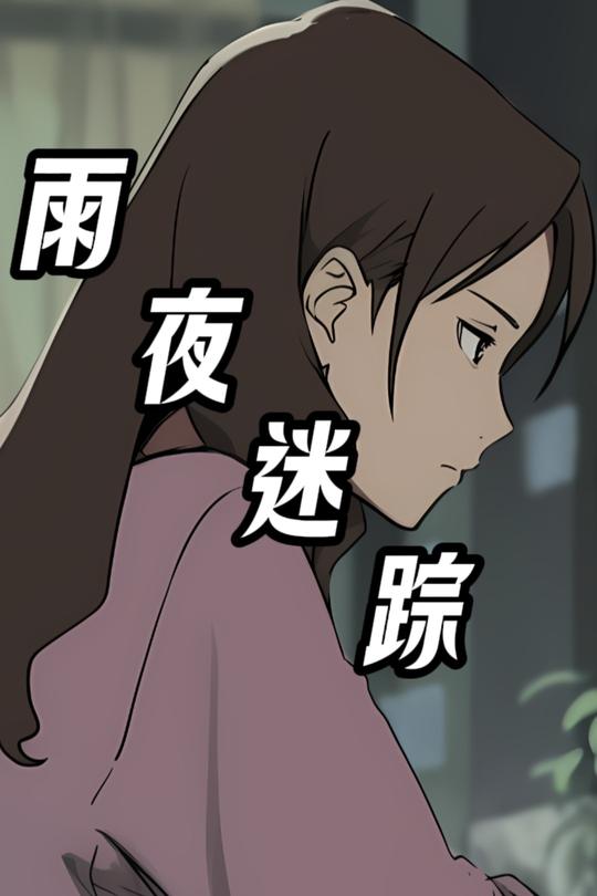 雨夜迷踪封面
