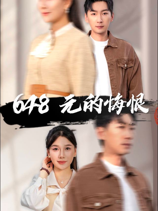 648元的悔恨封面