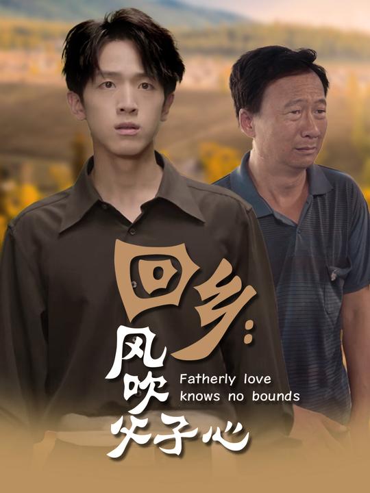 回乡:风吹父子心封面