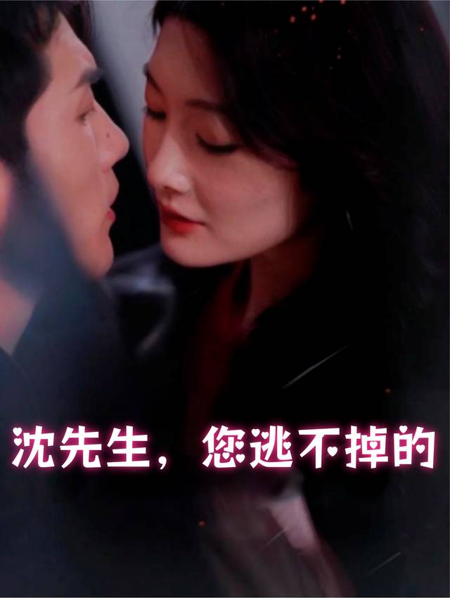 沈先生,您逃不掉的封面