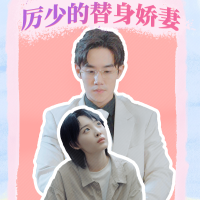 厉少的替身娇妻封面