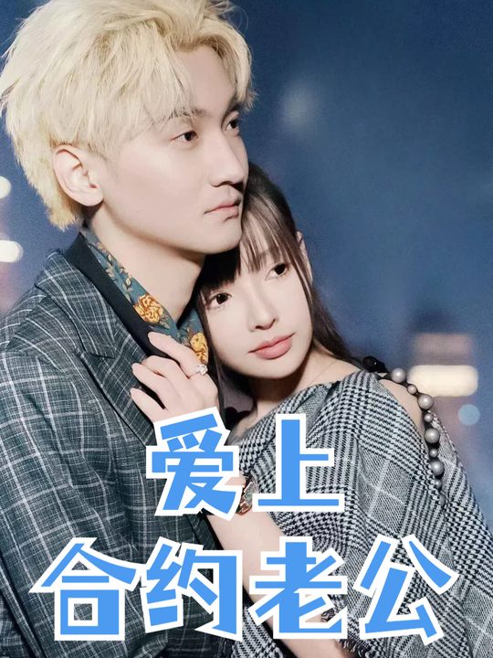 爱上合约老公封面