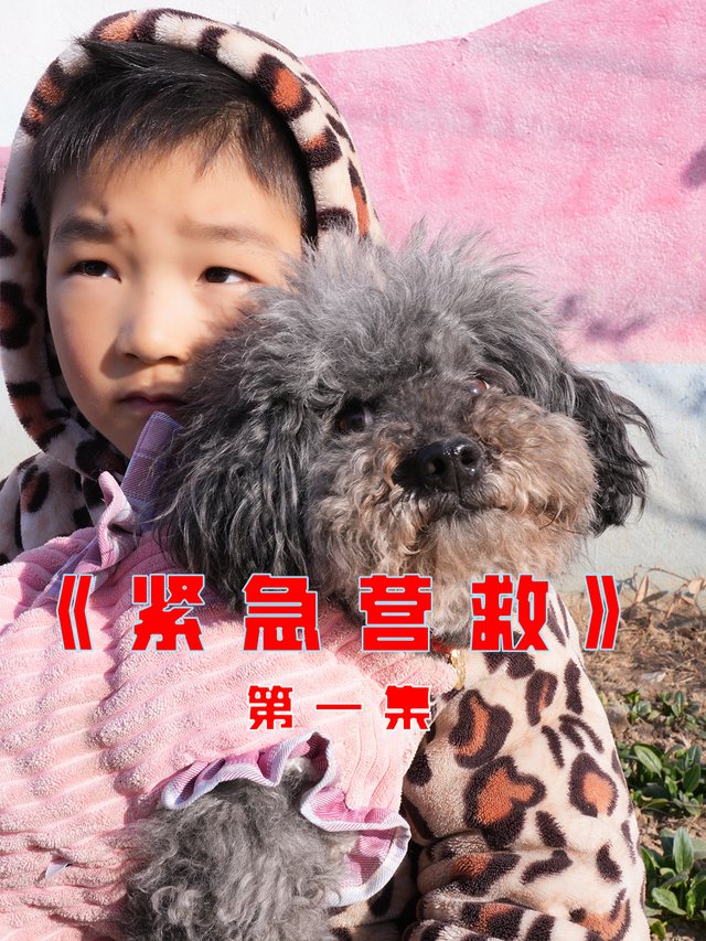 神犬锤锤之紧急营救封面