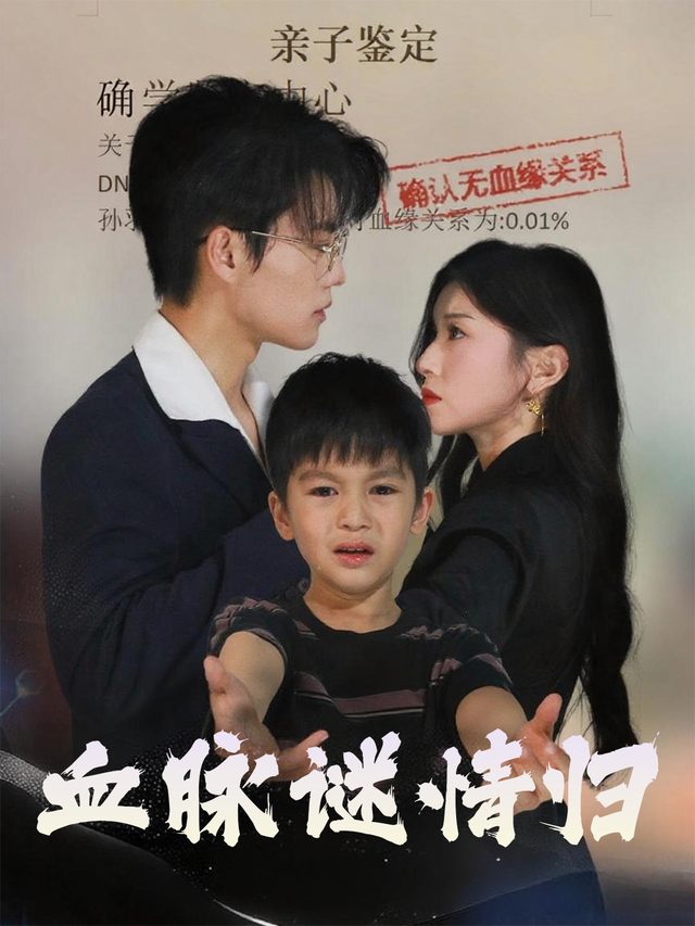 血脉谜情归封面