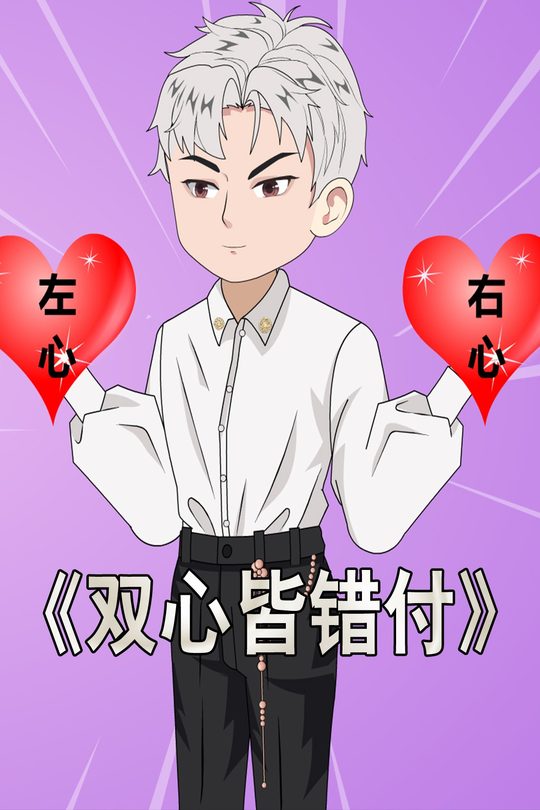 双心皆错付封面