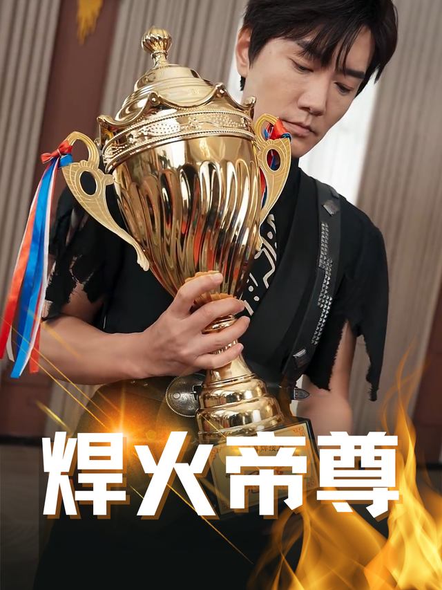 焊火帝尊封面