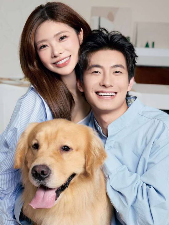 爱如恶作剧封面