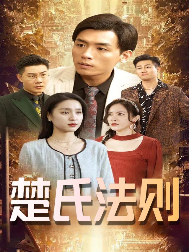 楚氏法则封面