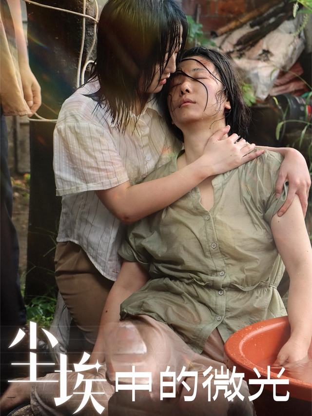 尘埃中的微光封面