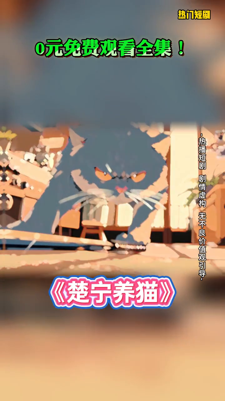 楚宁养猫封面