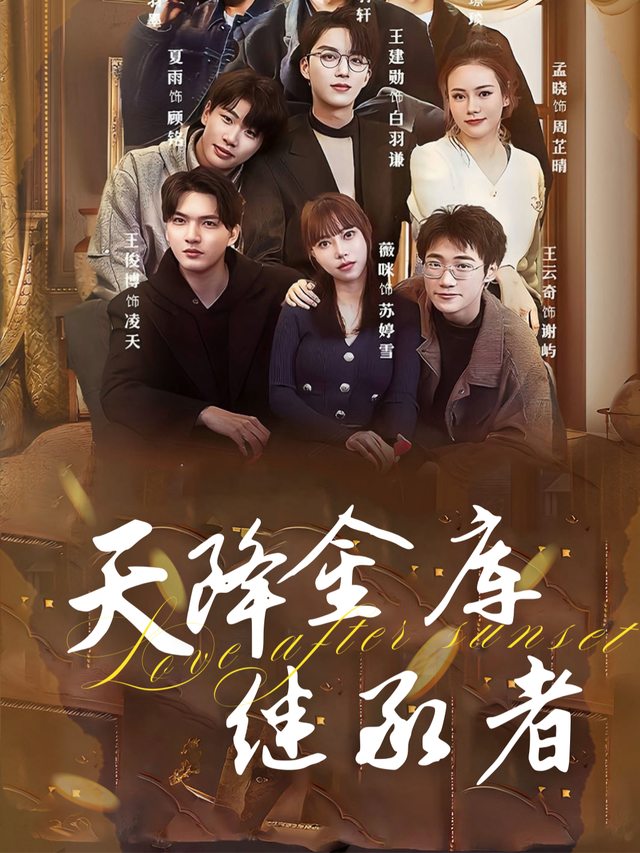天降金库继承者封面