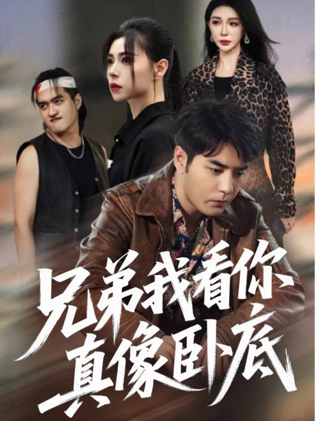 兄弟我看你真像卧底封面