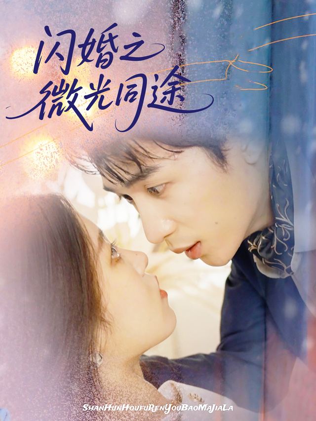 闪婚之微光同途封面