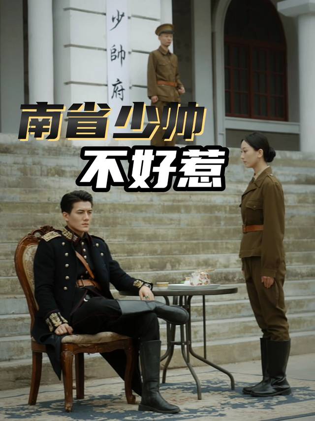 南省少帅不好惹封面