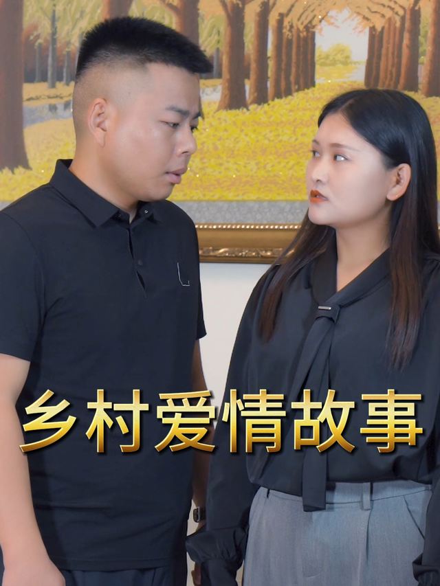 乡村爱情故事.封面