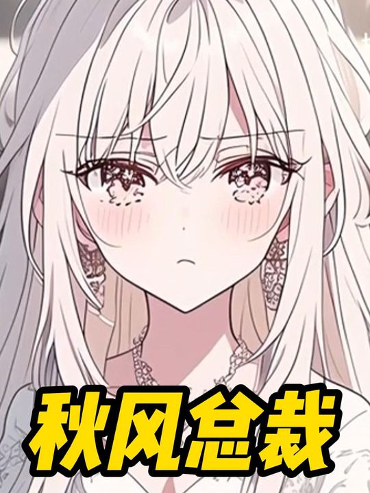 秋风总裁封面