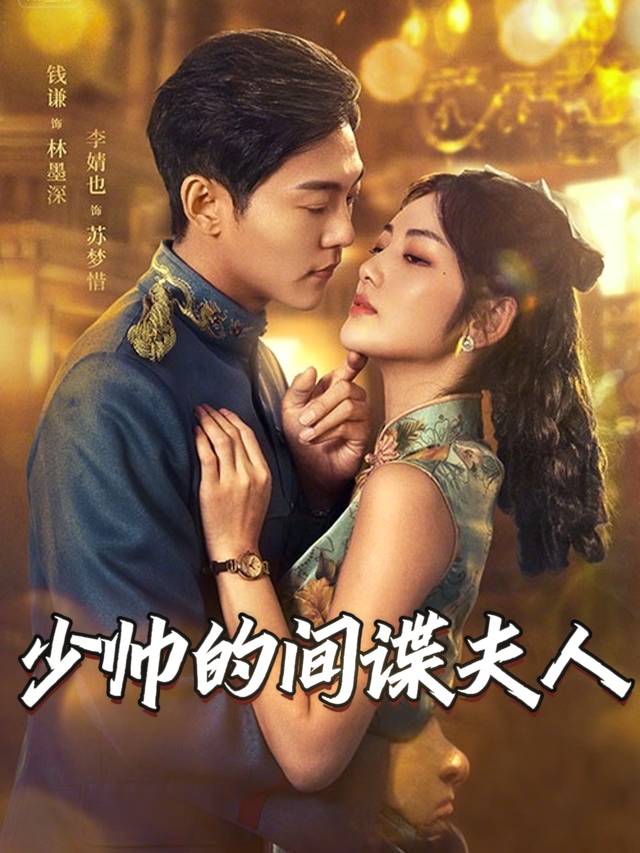 少帅的间谍夫人封面