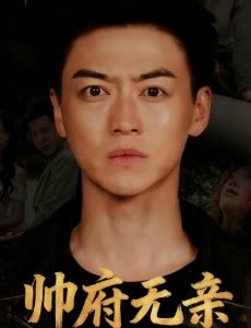 帅府无亲封面