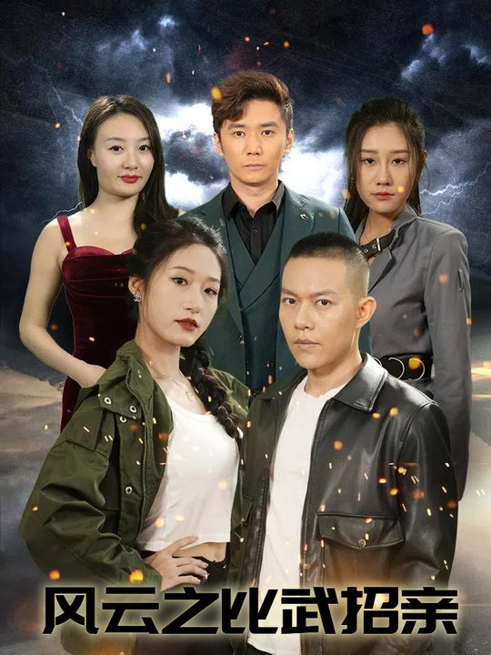 风云之比武招亲封面