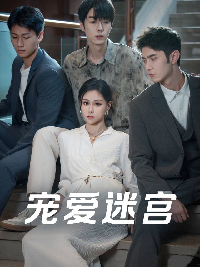 宠爱迷宫封面