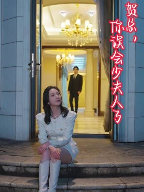 贺总,你误会夫人了封面