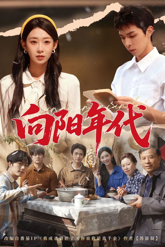 向阳年代封面